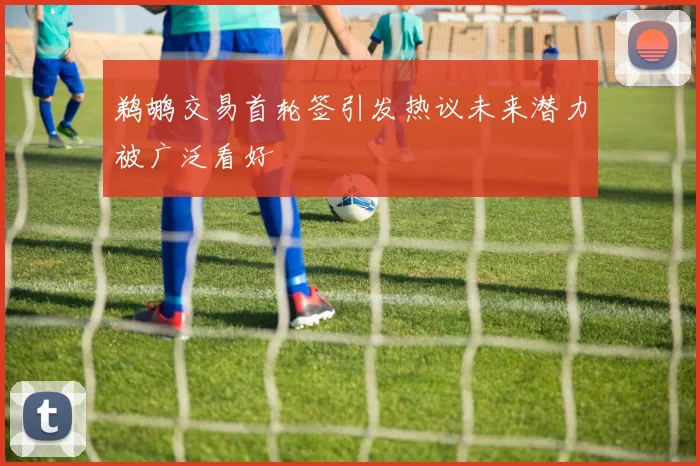 鹈鹕交易首轮签引发热议未来潜力被广泛看好